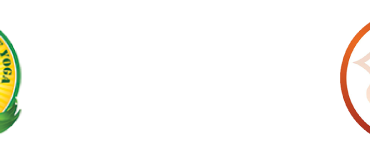 Vrinda School Of Yoga