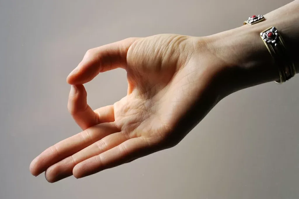 Chin Mudra_ | Yoga.in