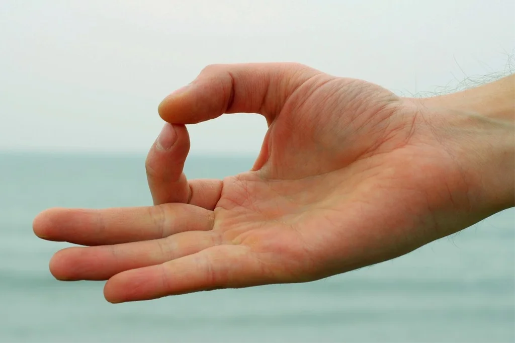 Gyan Mudras | Yoga.in