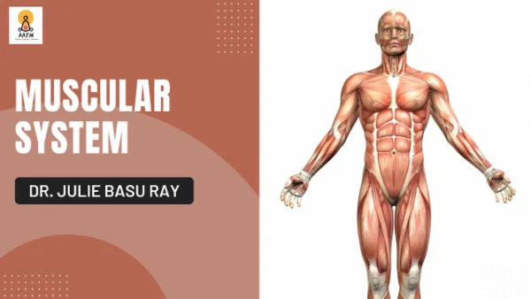 Certication- E Course ON the Muscular System