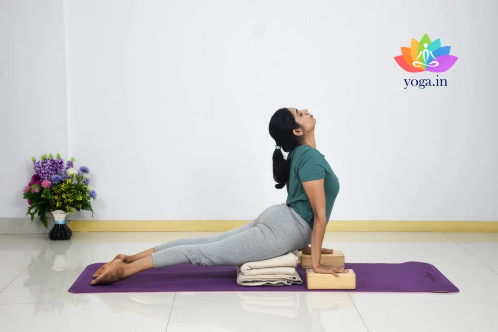 Urdhva Mukha Svanasana