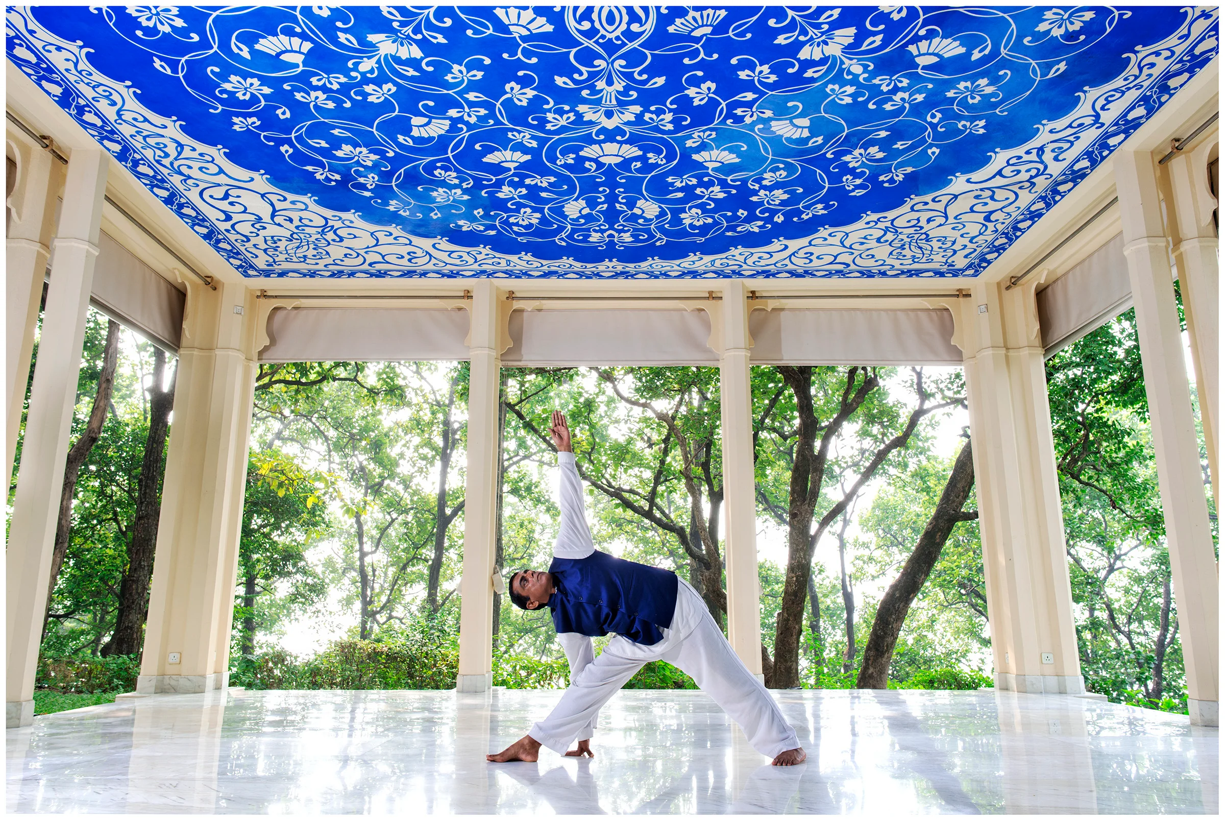 Yoga Therapy