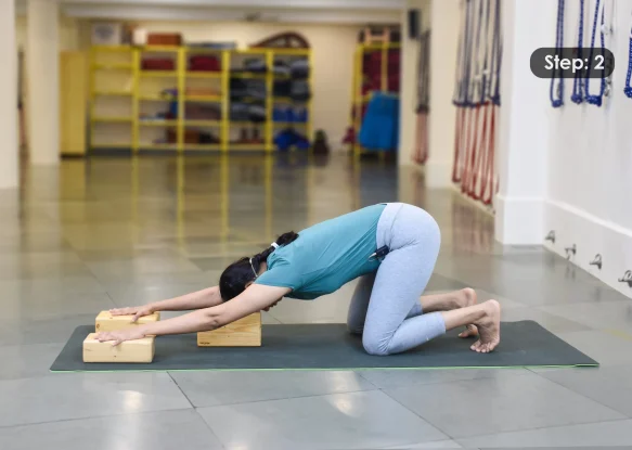 Adhomukha Svanasana Step 2