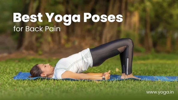 Best yoga Poses for Back pain