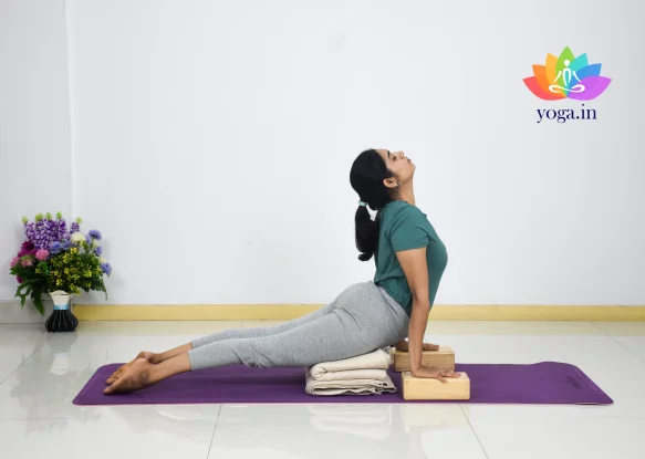Urdhva Mukha Svanasana